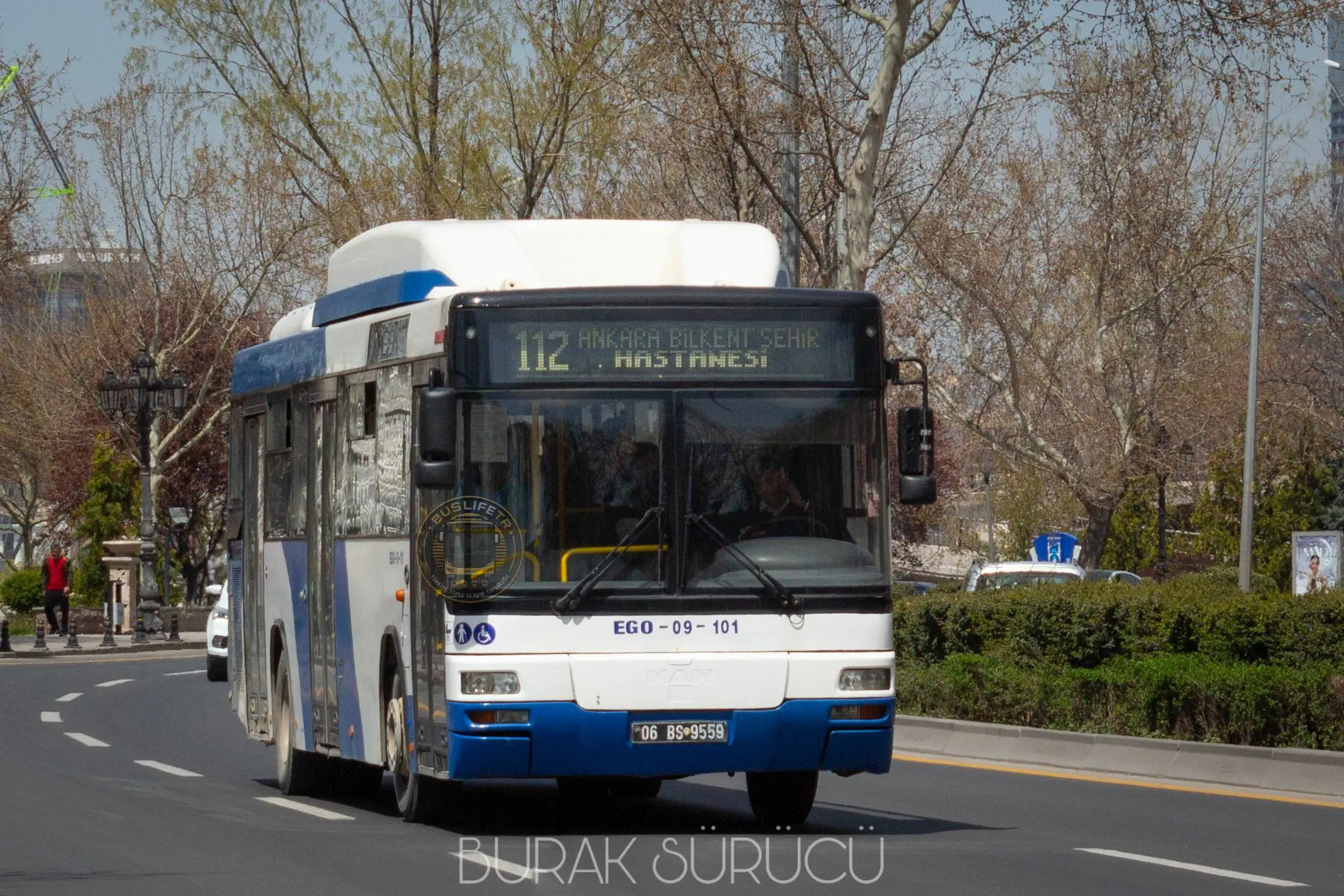 EGO / MAN A74 Lions Classic SL313 CNG