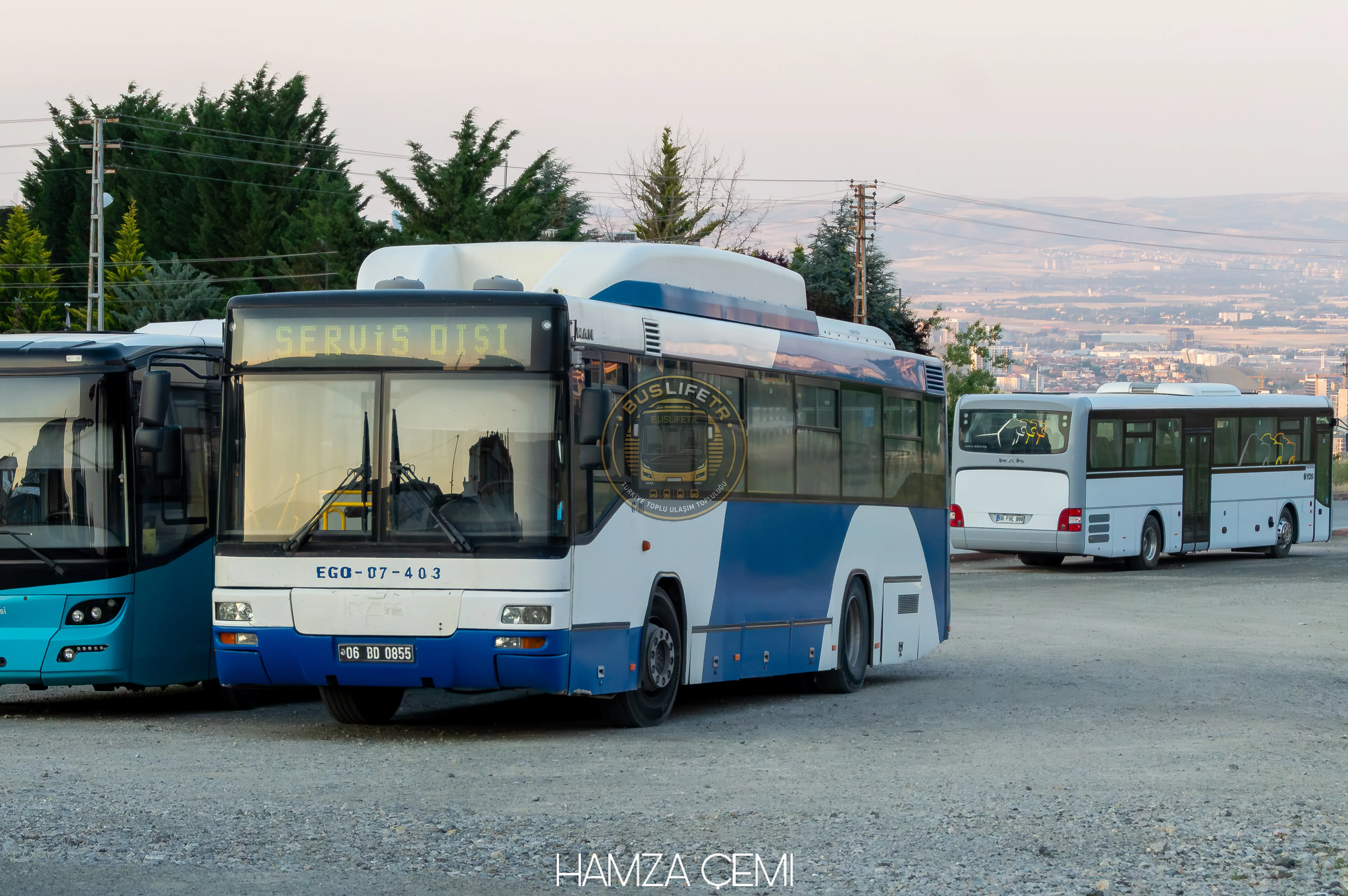 EGO / MAN A74 Lions Classic SL313 CNG