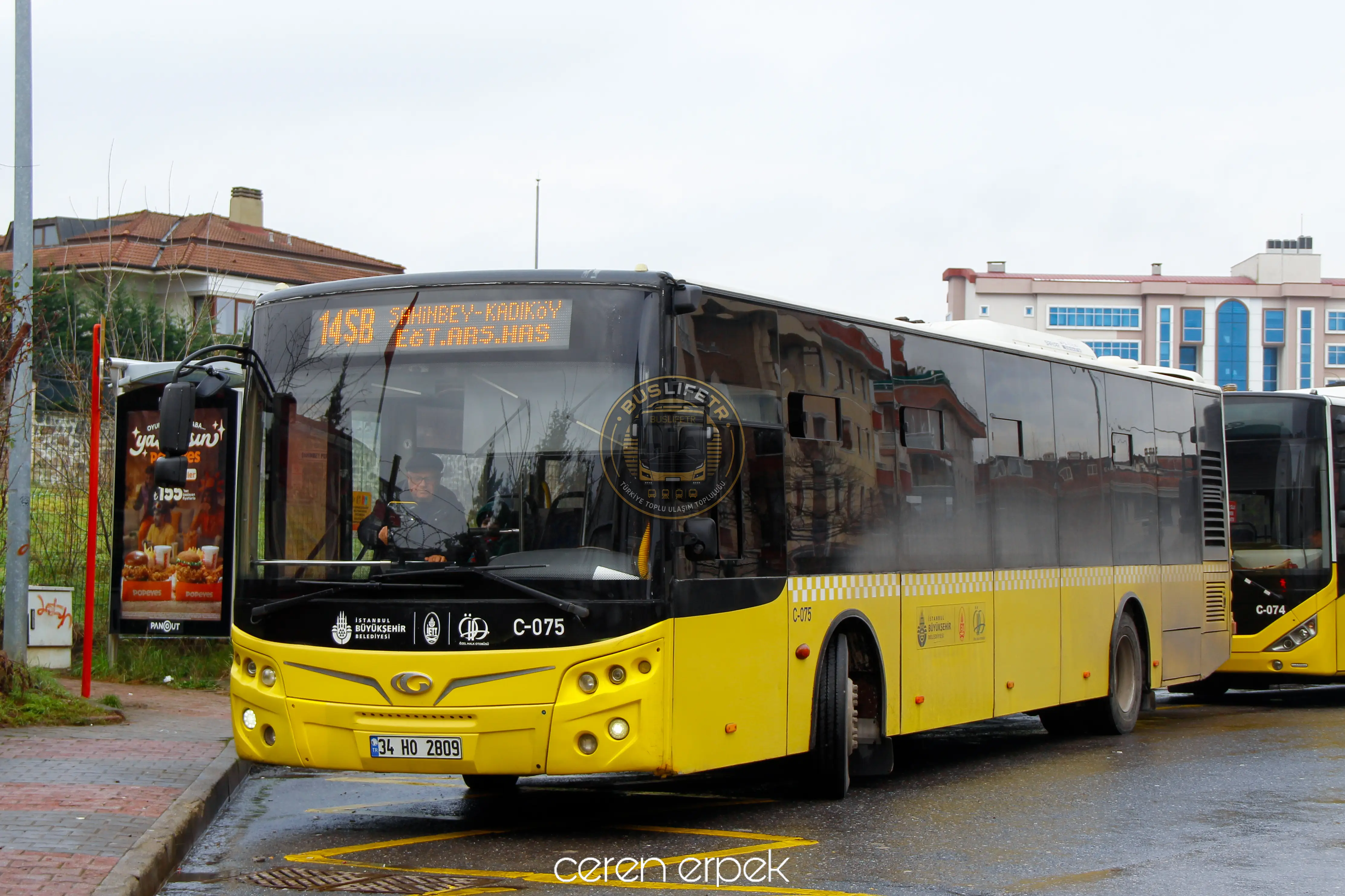 ÖHO / GÜLERYÜZ COBRA GD-272 LF