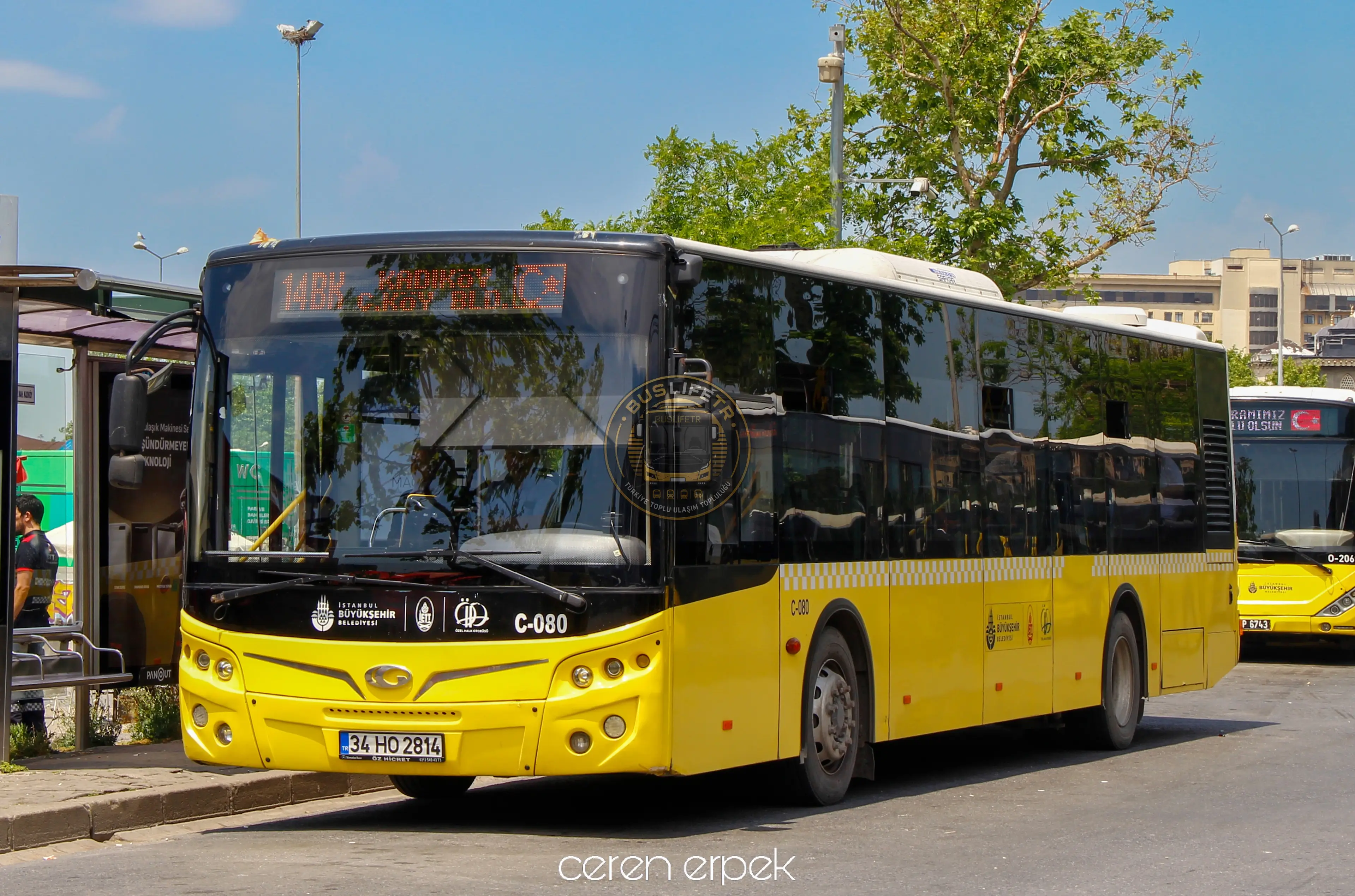 ÖHO / GÜLERYÜZ COBRA GD-272 LF