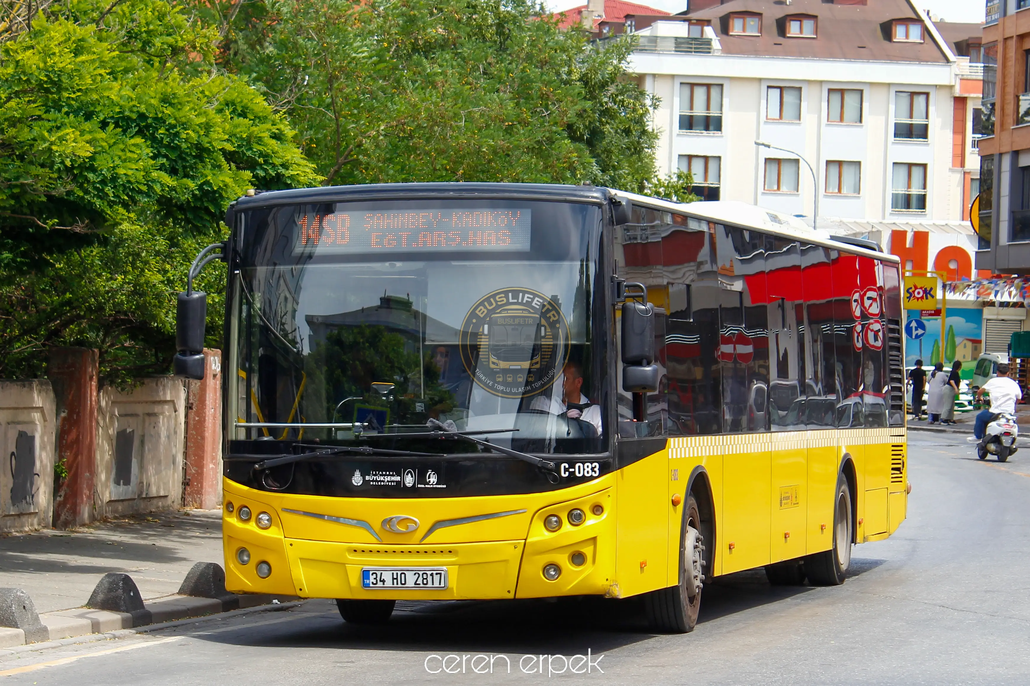 ÖHO / GÜLERYÜZ COBRA GD-272 LF