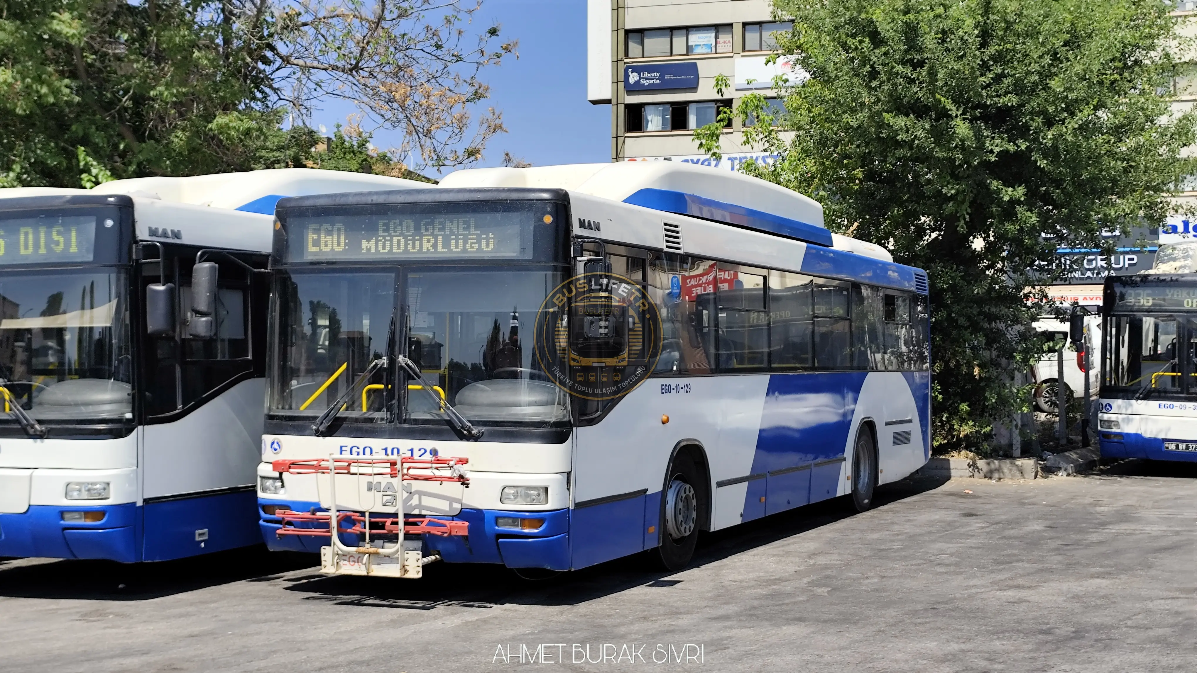 EGO / MAN A74 Lions Classic SL313 CNG