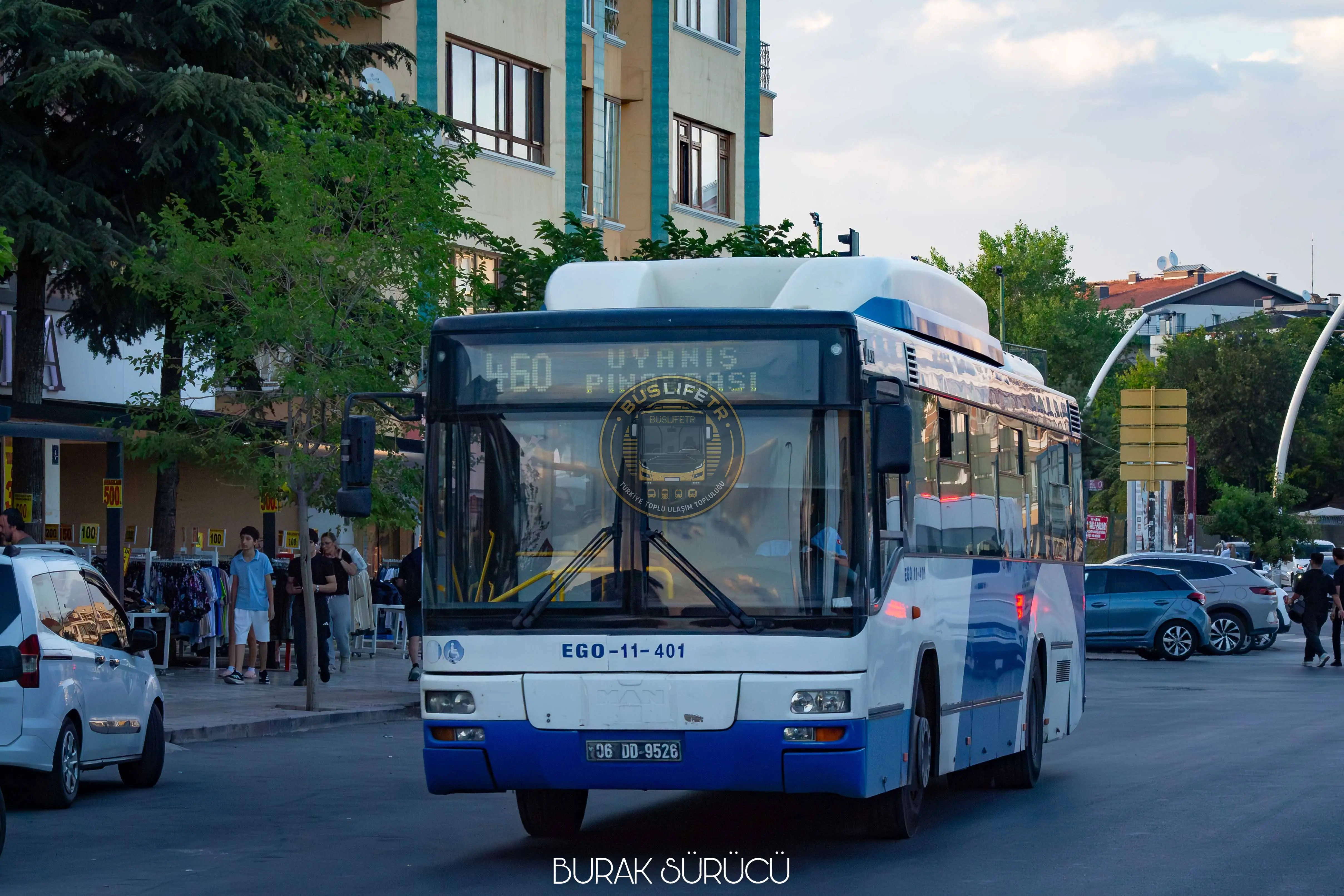 EGO / MAN A74 Lions Classic SL313 CNG